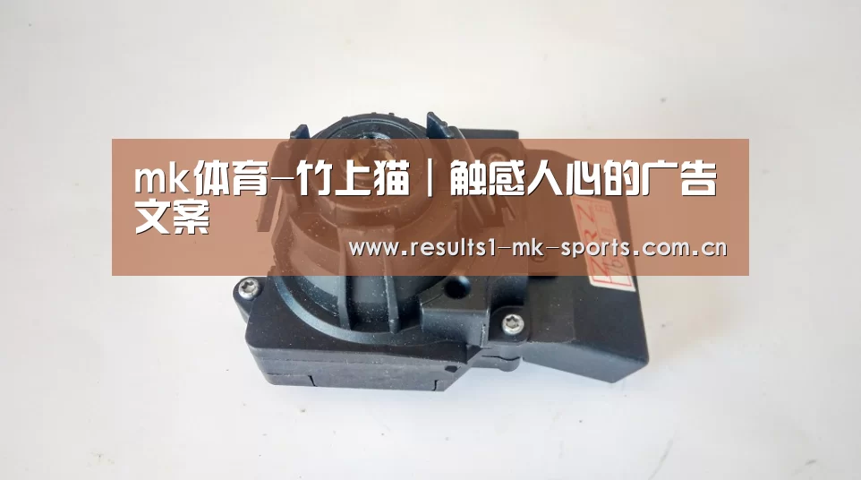 mk体育-竹上猫|触感人心的广告文案(图3) mk体育官方
