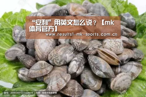 mk体育